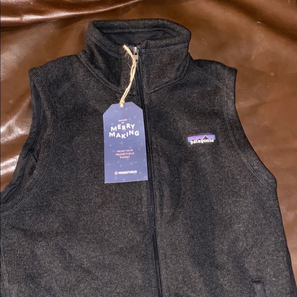 NWOT Patagonia vest